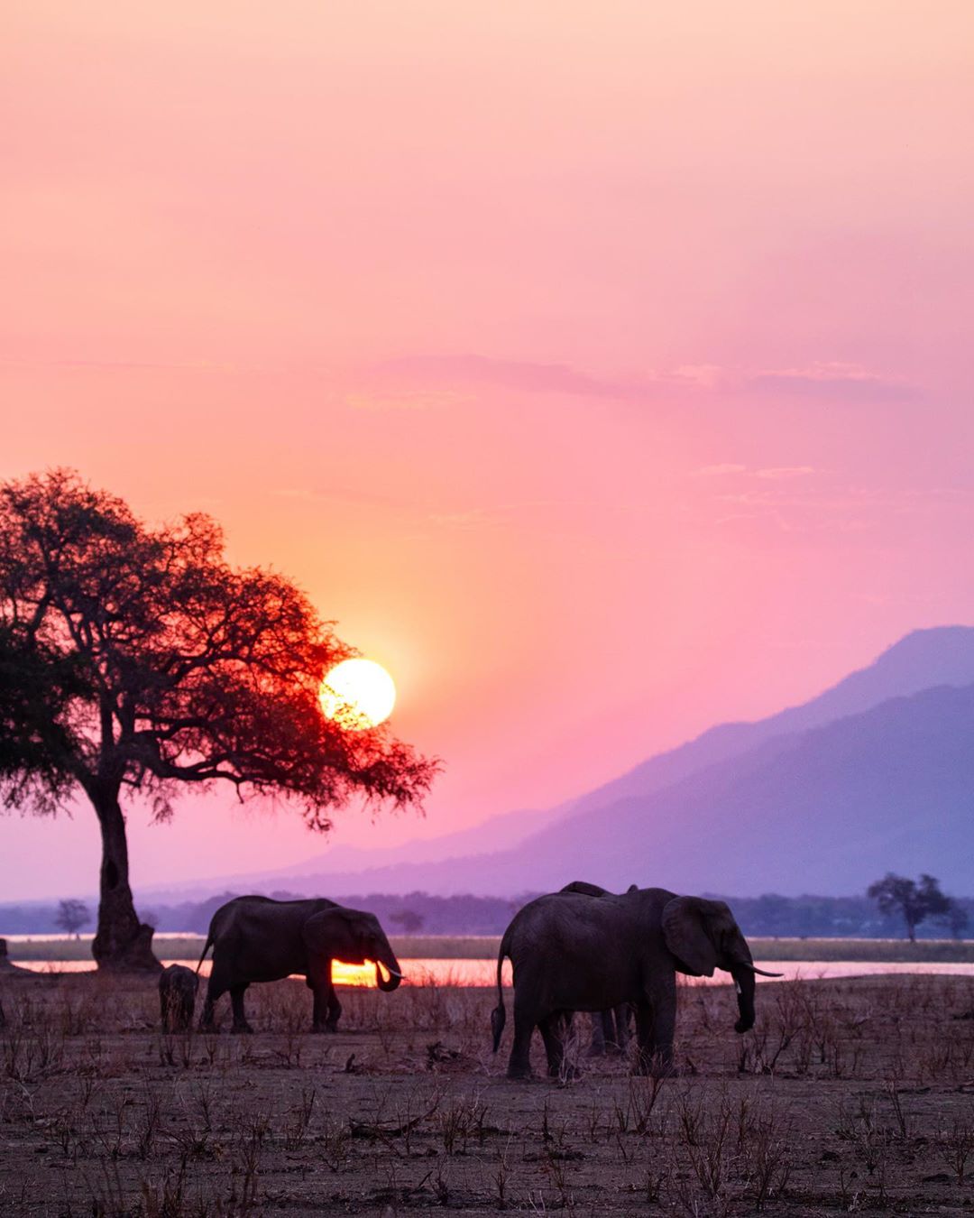 Hwange National Park, Zimbabwe