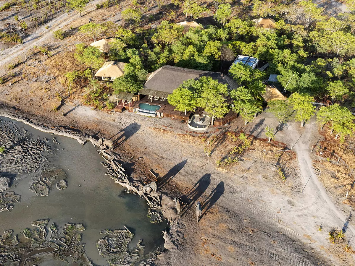 Victoria Falls Golden Safari Extension